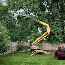 Best Tree Mulching  in Fountain Green, UT